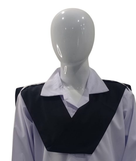 Westminister International School Girls Sash