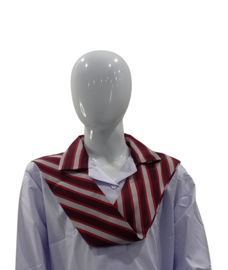 Roots School System Girls Sash