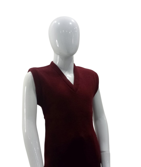 Roots School System Sleeveless Sweater